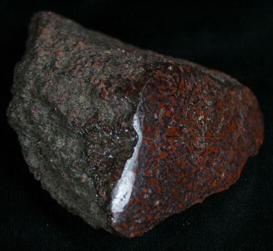 Agatized Dinosaur Bone Chunk (Polished) #7229
